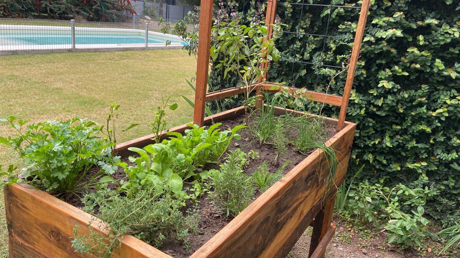 Huerta alta con espaldera y aromáticas