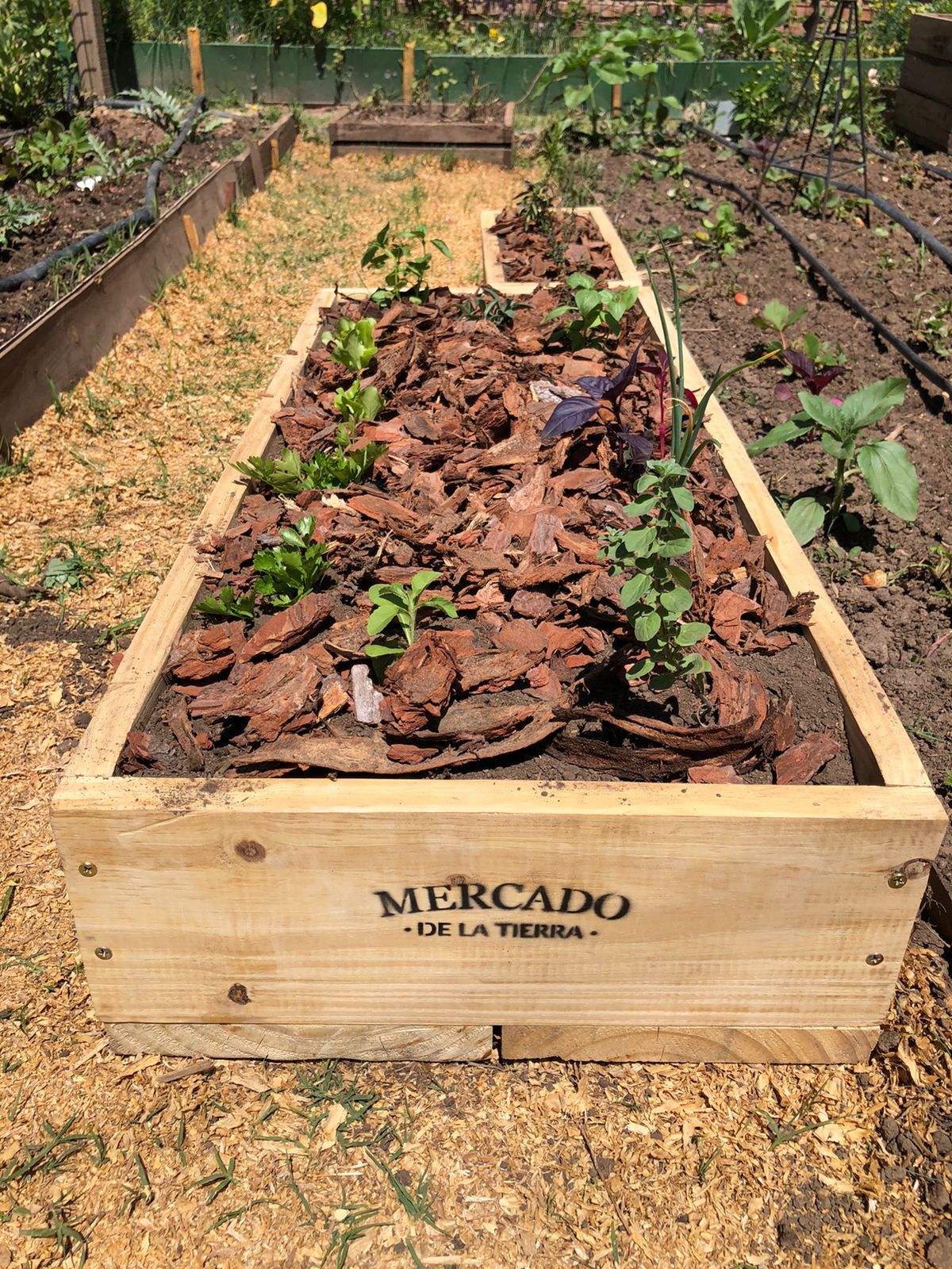 Cantero con aromáticas y corteza de pino