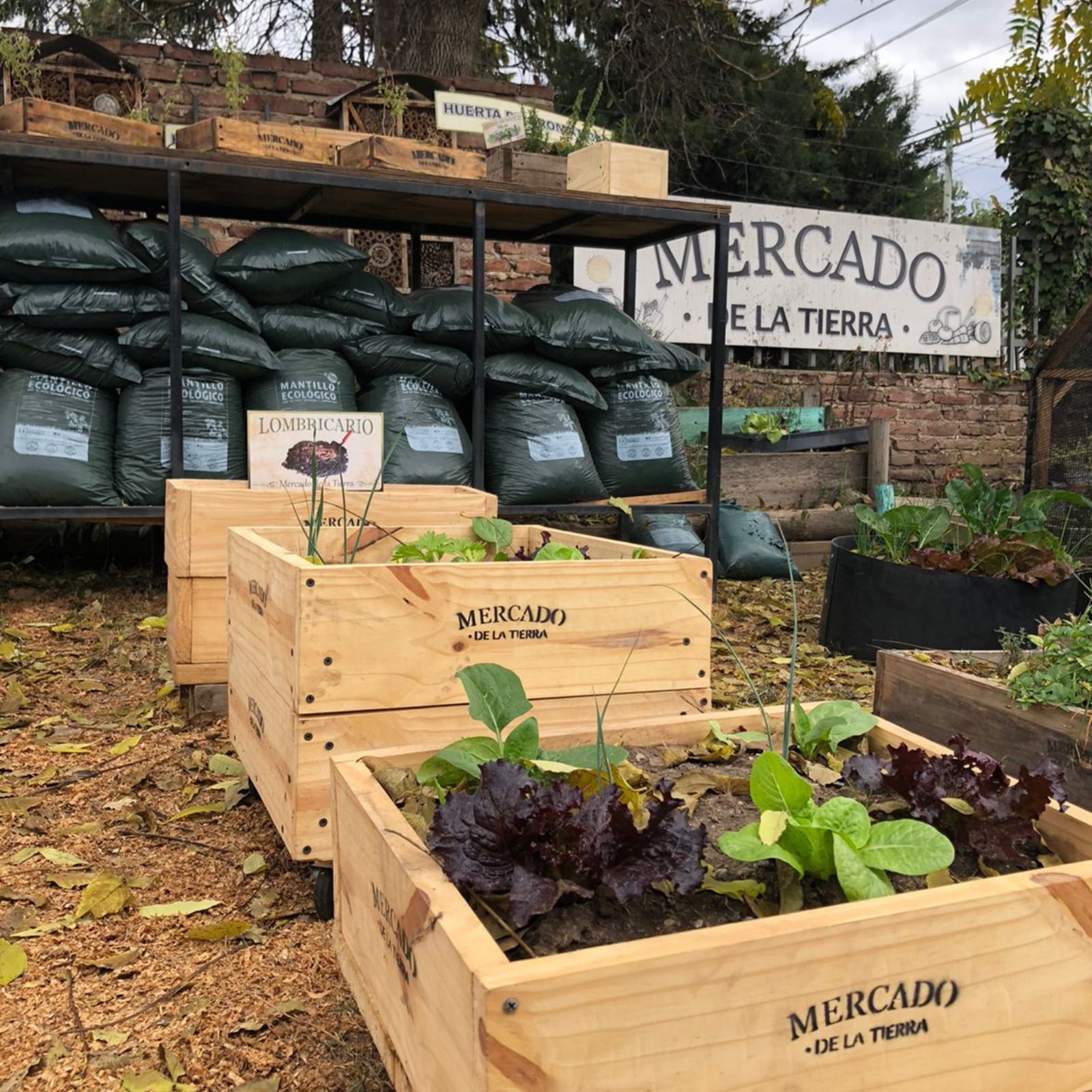 Cajones de madera de Mercado de la Tierra con lechugas moradas y el cartel de la marca