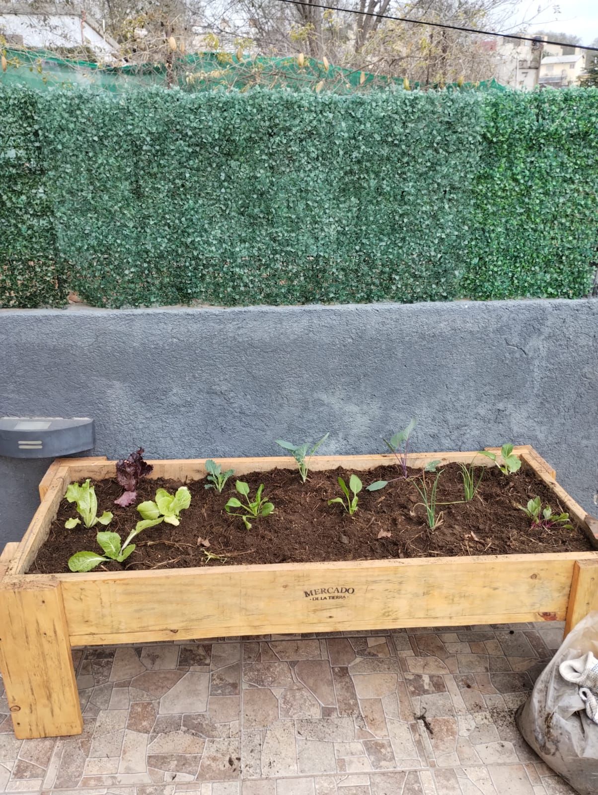 Bancal recién plantado en un patio