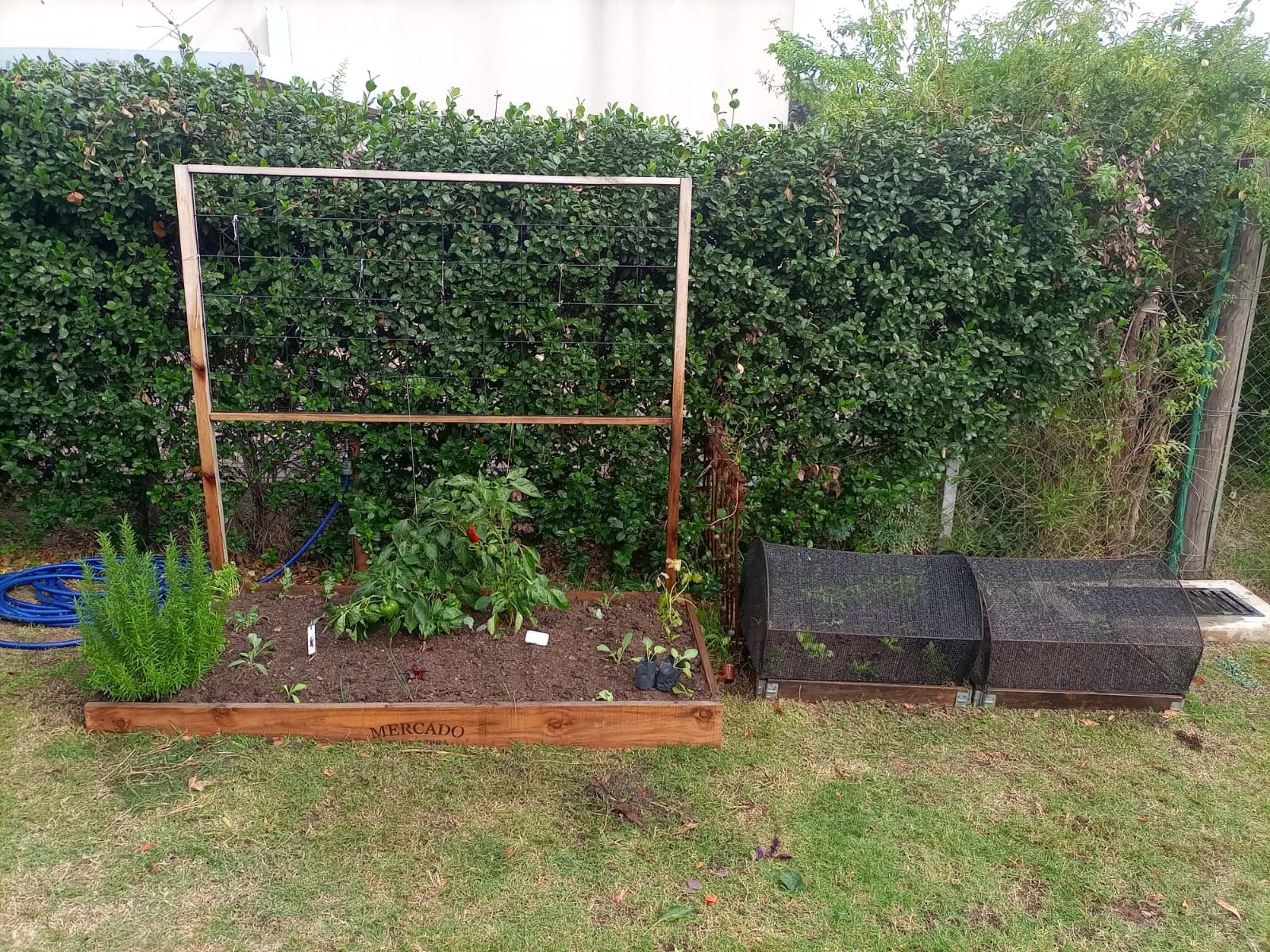 Huerta con espaldera en un jardín